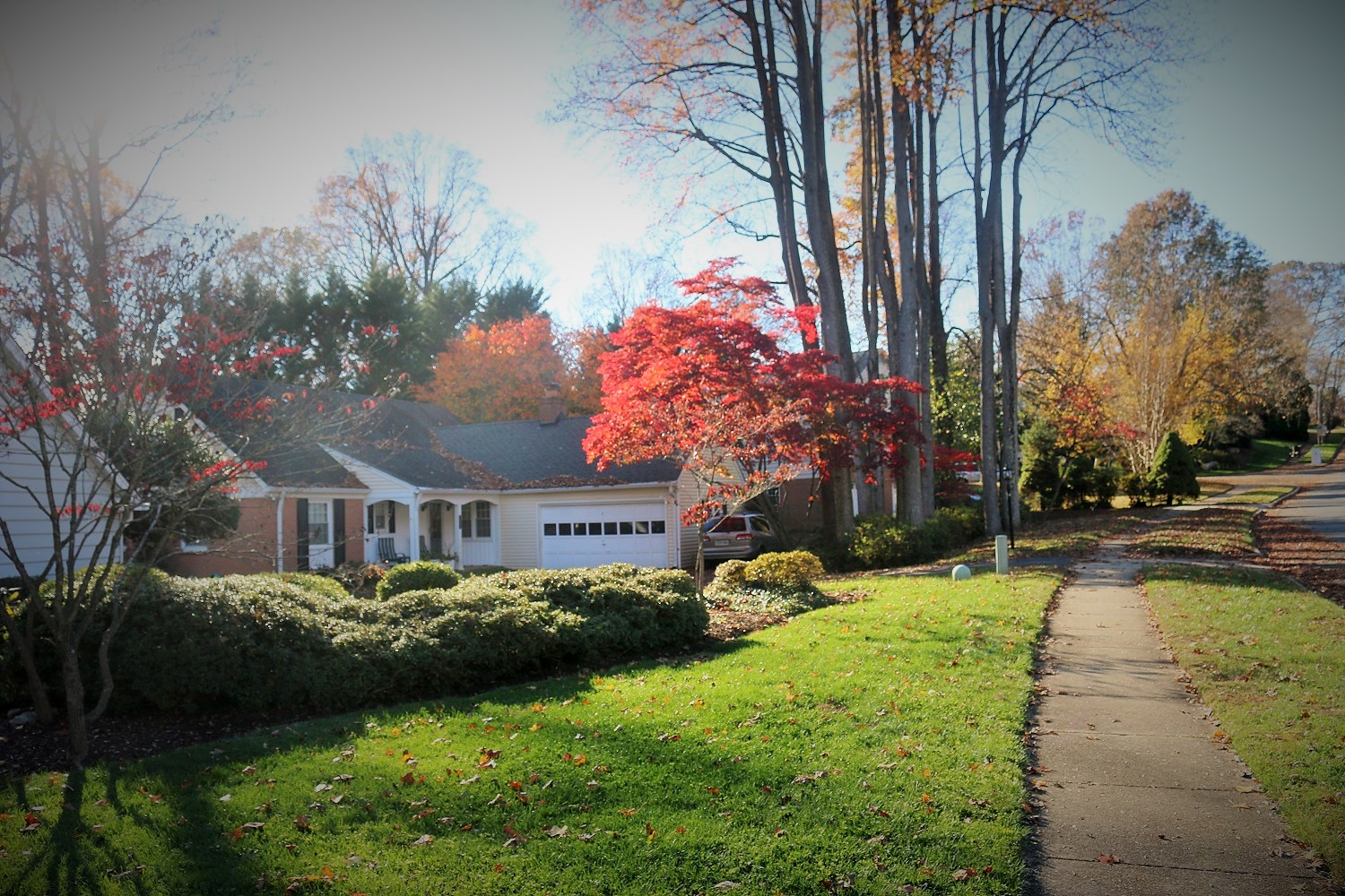 A fall streetscape in Annandale, Virginia