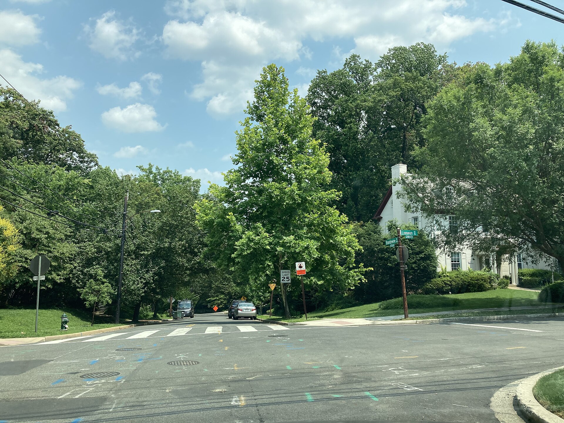 A leafy street in Forest Hills, Washington DC