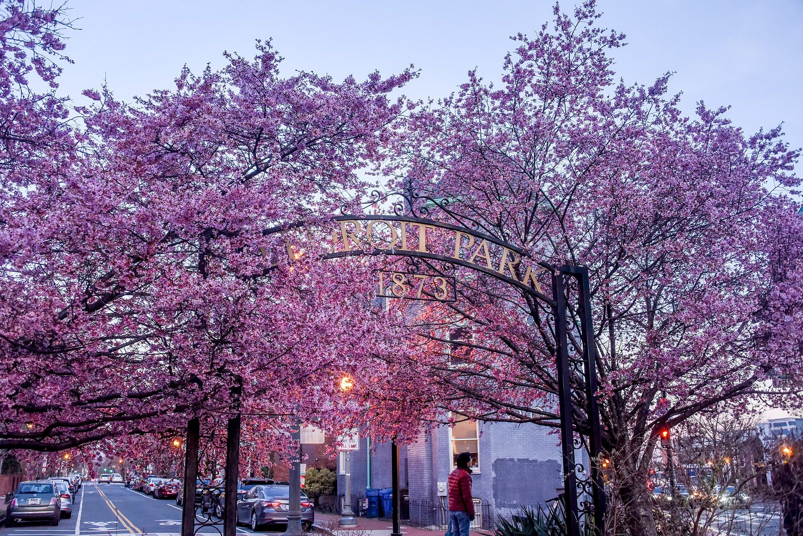 The LeDroit Park neighborhood entrance arch framed by cherry blossoms, Washington DC