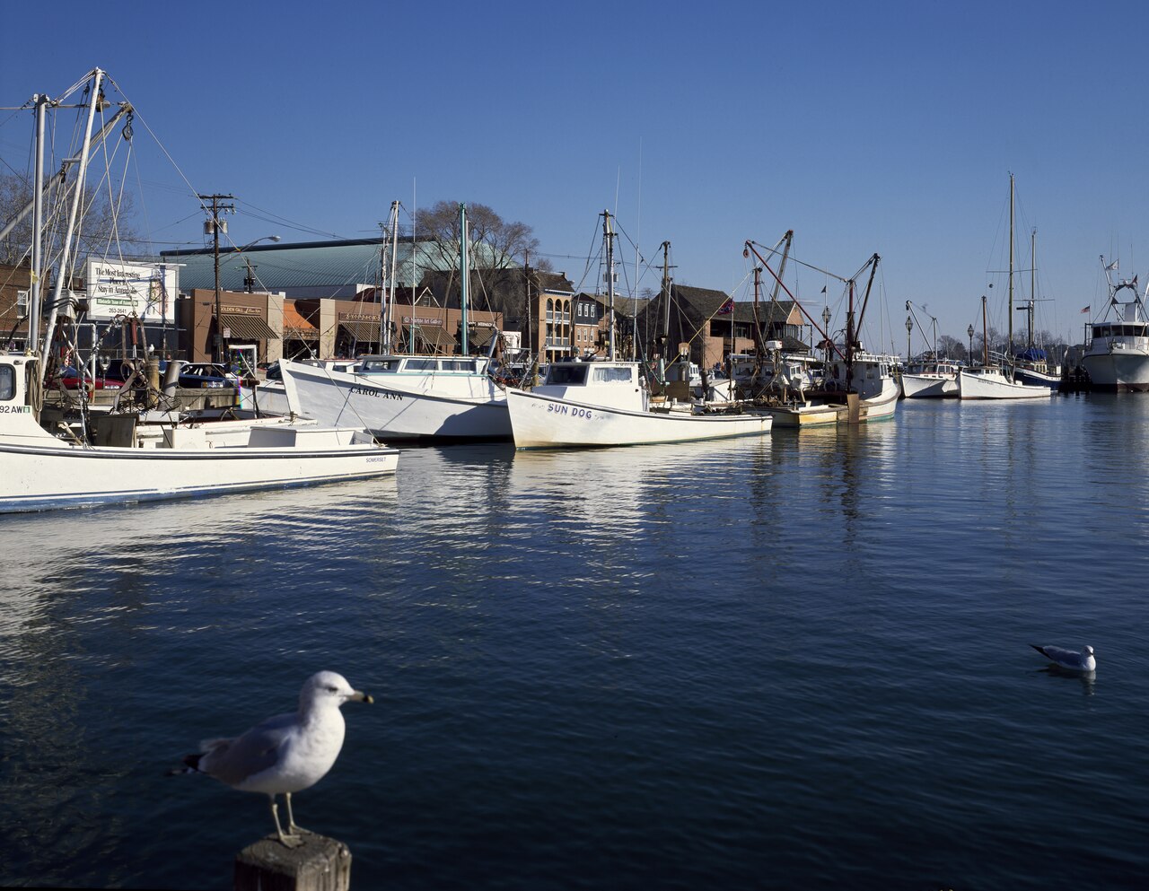 Annapolis Harbor, Maryland